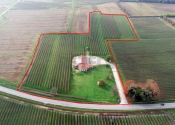 VISTA AEREA - Azienda agricola Via Morsano 89, Mortegliano - foto 1