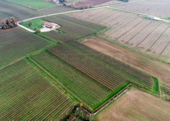 VISTA AEREA - Azienda agricola Via Morsano 89, Mortegliano - foto 2
