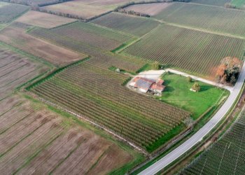 VISTA AEREA - Azienda agricola Via Morsano 89, Mortegliano - foto 3