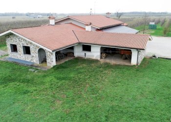 FOTO AEREA - Azienda agricola Via Morsano 89, Mortegliano - foto 7