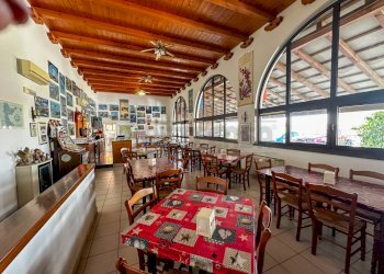 INTERNO - Azienda agricola Via Morsano 89, Mortegliano - foto 15