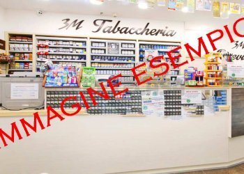 ATTIVITA - Tabaccheria VIALE TRIESTE 133, Gradisca d'Isonzo - foto 5
