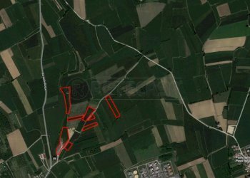 SATELLITARE2 - Azienda agricola VIA DELLE ACQUE 5, Visco - foto 2