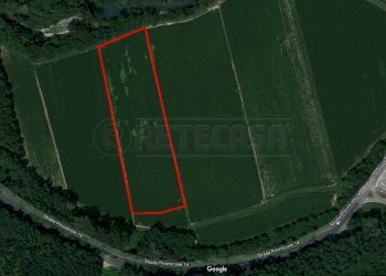 SATELLITARE3 - Terreno agricolo Strada Provinciale 14 S.N.C., Cormons - foto 1