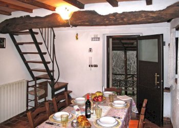 11.jpg - Casa semi indipendente Camaiore - foto 2