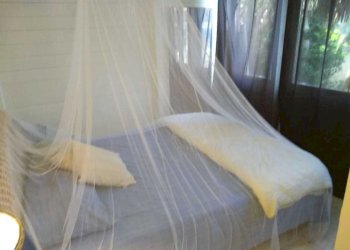 WhatsApp Image 2019-04-01 at 15.23.35 (2).jpeg - Appartamento Camaiore - foto 3