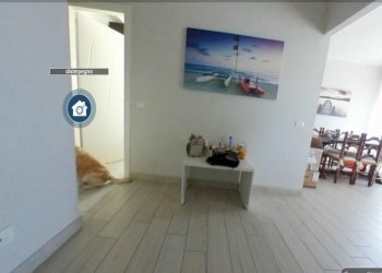 disimpegno.png - Appartamento Camaiore - foto 1