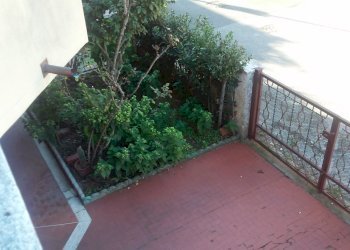 giardino.jpg - Appartamento Viareggio - foto 15