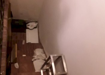 20190611_105555.jpg - Commercial Premises Carrara - photo 7