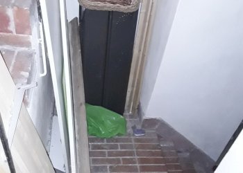 20190611_110228.jpg - Commercial Premises Carrara - photo 9