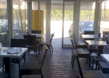 20181211_115336_resized_1.jpg - Bar - Tabacchi - Ricevitoria Massa - foto 12