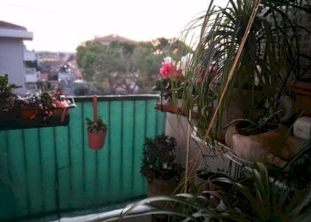 balcone - Appartamento Carrara - foto 4