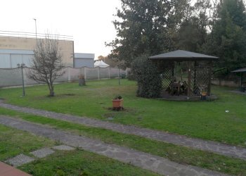 giardino.jpg - Semi-detached house Carrara - photo 13