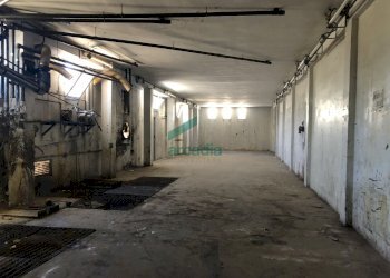 Vano Interno capannone - Locale Commerciale SP231 KM 3, 674, Modugno - foto 11