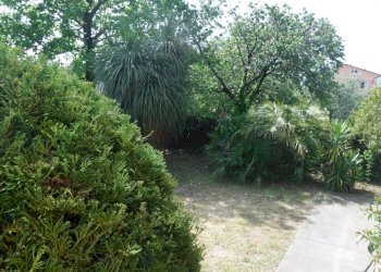 DSCF2712.JPG - Casa indipendente Castelnuovo Magra - foto 6