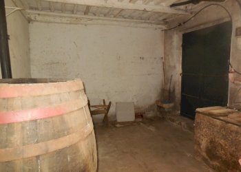 DSCN7936.JPG - Villa Castelnuovo Magra - foto 28