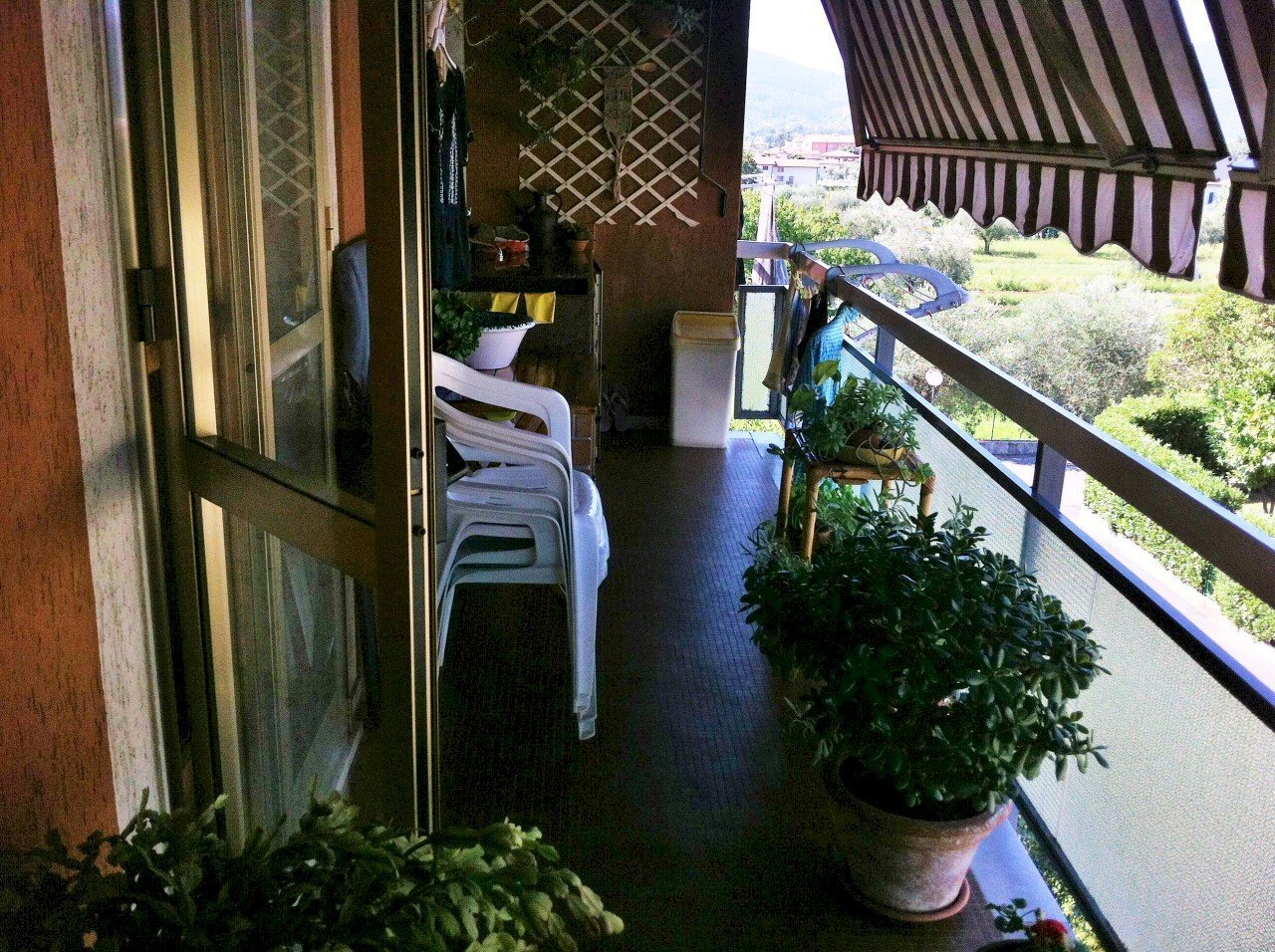 IMG_1702.JPG - Appartamento Castelnuovo Magra - foto 3