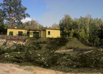 campo01.jpg - Terreno agricolo Castelnuovo Magra - foto 3