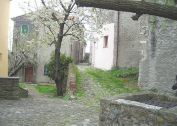 Appartamento via borgo di fondo, Luni - foto 5
