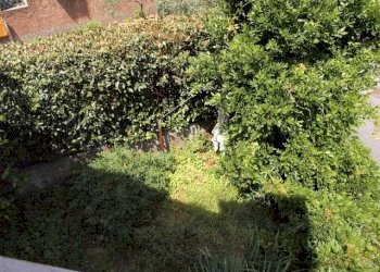 Appartamento Lerici - foto 4