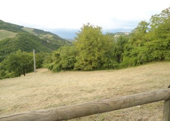 Copia di DSC02071.JPG - Terreno edificabile Ronzano, Calestano - foto 2