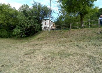 DSC02074.JPG - Terreno edificabile Ronzano, Calestano - foto 4
