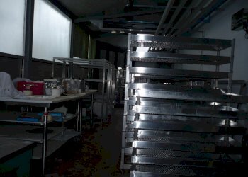 016.JPG - Commercial Premises via circonvallazione 33, Medesano - photo 10