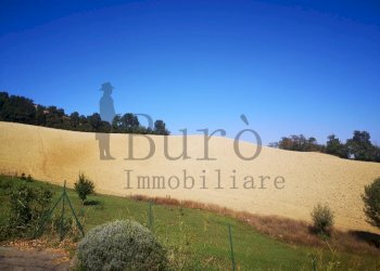 IMG_20200905_150436.jpg - Agricultural land Strada delle Vigne 3, Sala Baganza - photo 1