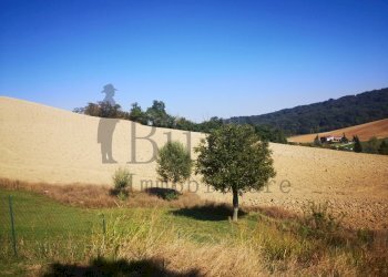 IMG_20200905_150433.jpg - Agricultural land Strada delle Vigne 3, Sala Baganza - photo 2