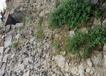 muro esterno stanza sul retro - Casa indipendente Siracusa - foto 10