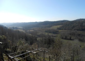vista - Casa indipendente Castelnuovo Don Bosco - foto 6
