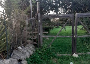 Agricultural land VIALE FRANCIA, Scicli - photo 3
