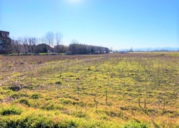 Terreno edificabile Racconigi - foto 9