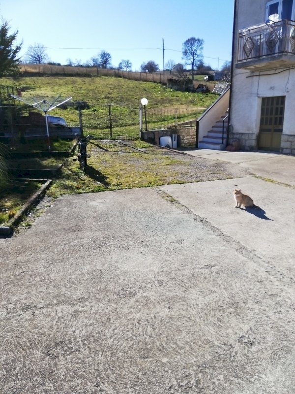 Casale San Fele - foto 3