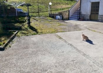 Casale San Fele - foto 3