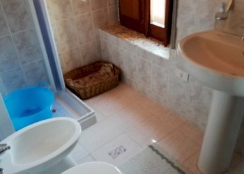 IMG_20200109_115508 (598x800).jpg - Casale San Fele - foto 20