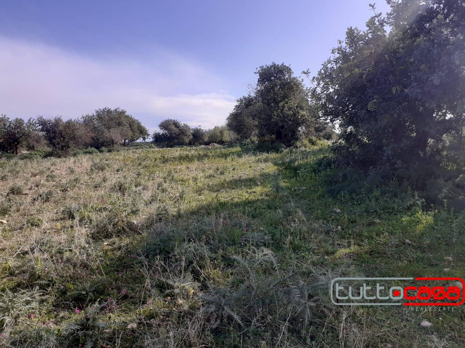 Rustico CONTRADA CATTETO, Scicli - foto 3