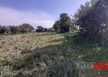 Rustico CONTRADA CATTETO, Scicli - foto 3