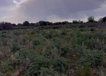 Rustico CONTRADA CATTETO, Scicli - foto 9