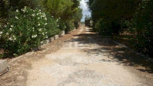 VIALE D\'INGRESSO - Villa Strada vicinale Rao Castellana Trappeto Rossi 36, Gallipoli - foto 2