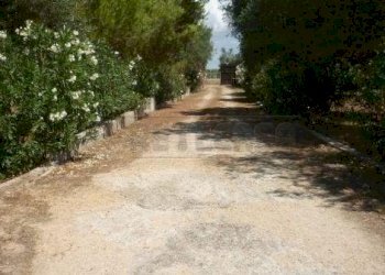 VIALE D\'INGRESSO - Villa Strada vicinale Rao Castellana Trappeto Rossi 36, Gallipoli - foto 2