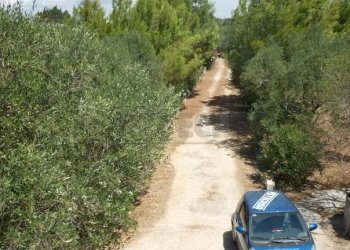 P1010716.JPG - Villa Strada vicinale Rao Castellana Trappeto Rossi 36, Gallipoli - foto 16