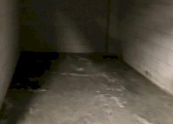 Box Bologna (neighborhood Bolognina) - photo 8