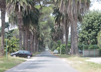 Trilocale Via Po 69, Castagneto Carducci - foto 15