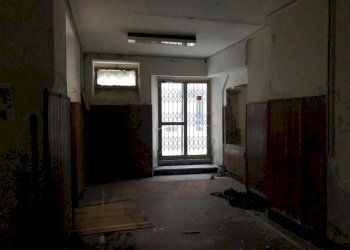 IMG-20200208-WA0083.jpg - Capannone Fosdinovo - foto 2