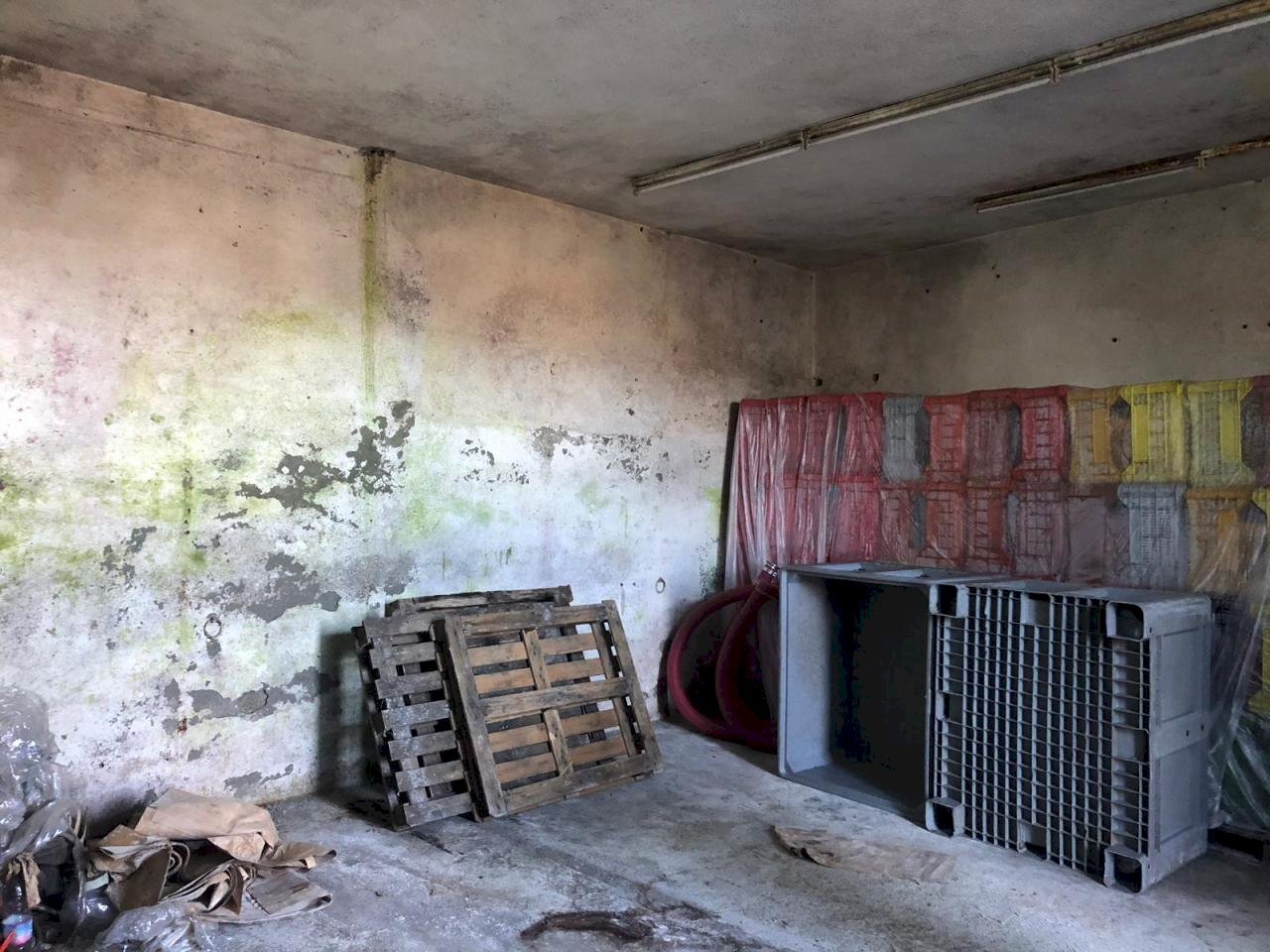 IMG-20200208-WA0074.jpg - Capannone Fosdinovo - foto 1