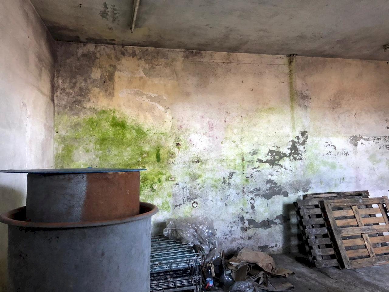 IMG-20200208-WA0073.jpg - Capannone Fosdinovo - foto 2