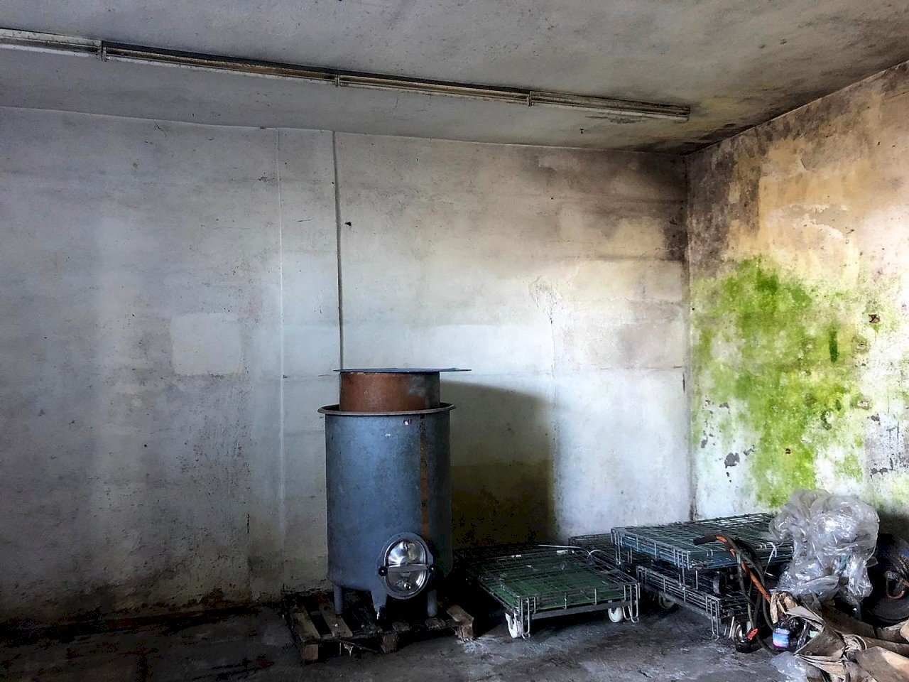 modIMG-20200208-WA0075.jpg - Capannone Fosdinovo - foto 3