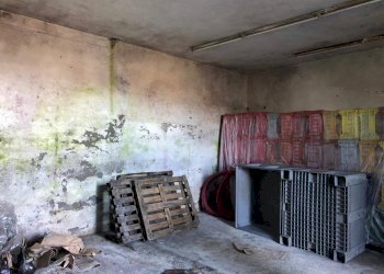 IMG-20200208-WA0074.jpg - Capannone Fosdinovo - foto 1