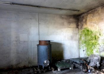 modIMG-20200208-WA0075.jpg - Capannone Fosdinovo - foto 3